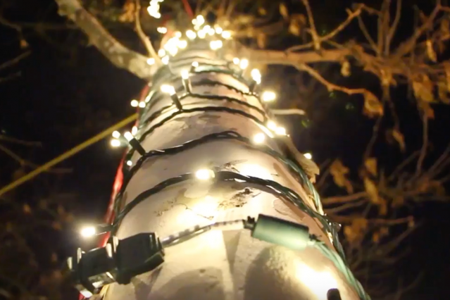 Scene from Tech Twinkles, an annual lighting ceremony at MIT.