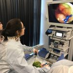 student perfoms "surgery" on a watermelon