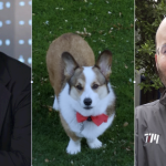 Left to right: Department of Mathematics Professor Alan Edelman, his co-instructor and family Corgi Philip, and visiting professor and longtime Julia lab collaborator David Sanders have altered their computational thinking course to encourage input on COVID-19 responses.